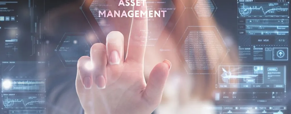 Software Asset Management
